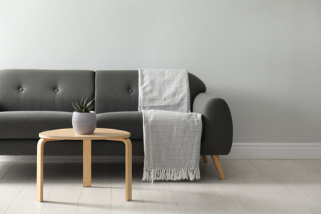 Stylish living room interior with comfortable gray sofa and beautiful plantの写真素材