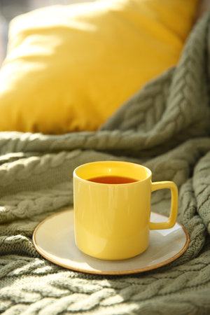 Cup of aromatic tea on green blanket, space for textの写真素材