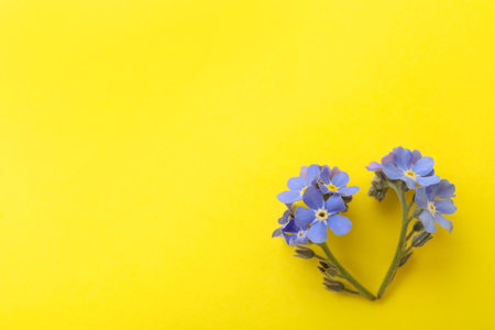 Beautiful blue forget-me-not flowers on yellow background, flat lay. Space for textの写真素材
