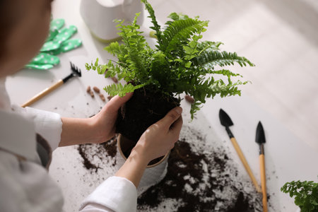 Woman holding fern above white table, closeupの写真素材