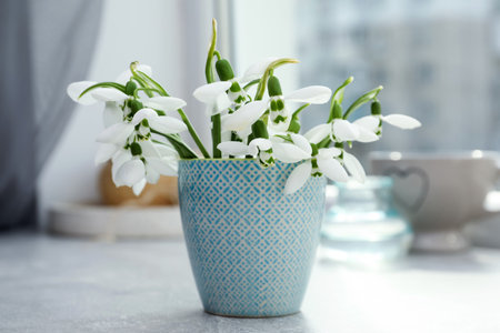 Beautiful snowdrops in vase on light gray table near windowの写真素材