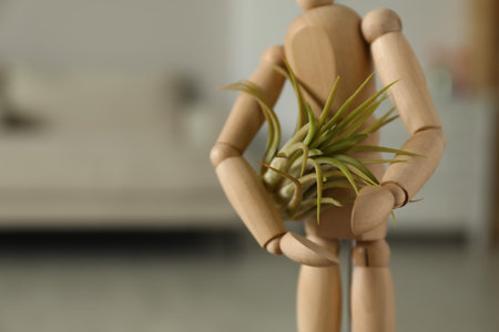 Wooden human figure with beautiful Tillandsia plant indoors, closeup and space for text. home decorの写真素材
