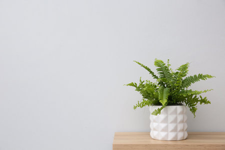 Beautiful fern in pot on wooden table, space for textの写真素材