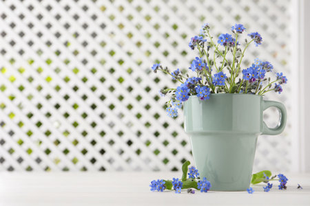 Beautiful blue forget-me-not flowers on white wooden table. Space for textの写真素材