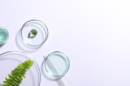 Organic cosmetic product, natural ingredients and laboratory glassware on white background, top view. Space for textの写真素材