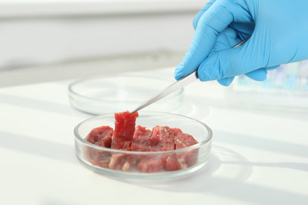 Scientist taking raw cultured meat out of Petri dish with tweezers at white table, closeup
