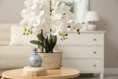 Stylish catalytic lamp with orchid on wooden table in living room, space for text. Cozy interiorの写真素材