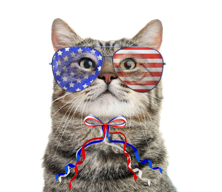 Cute cat with sunglasses and bow on white background. Concept of federal holidays in USAの写真素材
