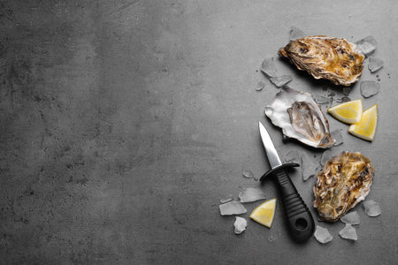 Fresh oysters with lemon and ice on gray table, flat lay. Space for textの写真素材