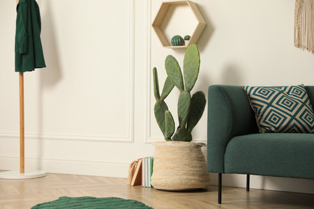 Stylish living room interior with beautiful potted cactus and modern furnitureの写真素材