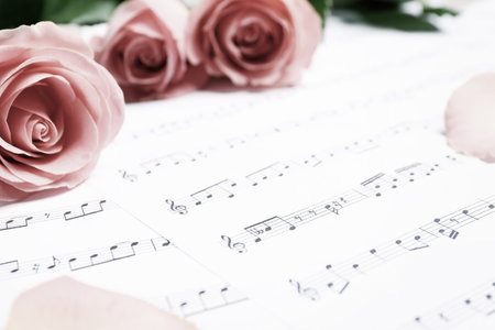 Beautiful roses, focus on sheet with music notes. Space for textの写真素材