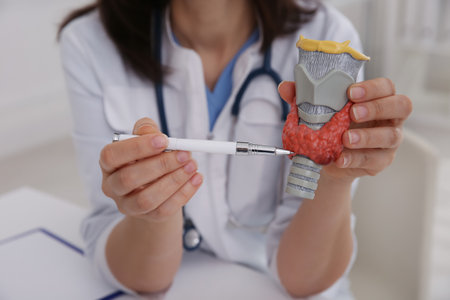 Doctor showing thyroid gland model indoors, closeupの写真素材