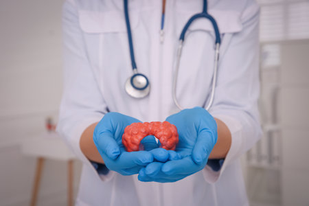 Doctor holding thyroid gland model in hospital, closeupの写真素材