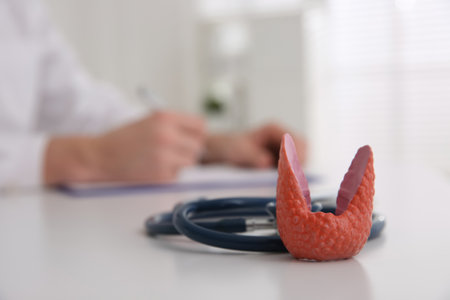 Thyroid gland model and stethoscope on table indoors. Space for textの写真素材