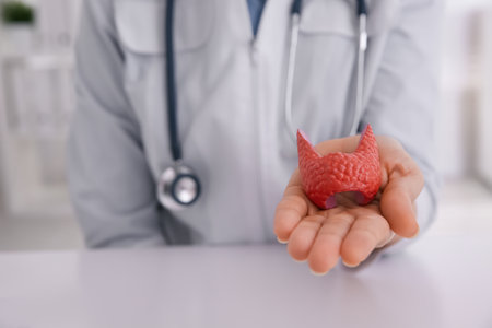 Doctor holding thyroid gland model at table indoors, closeup. Space for textの写真素材