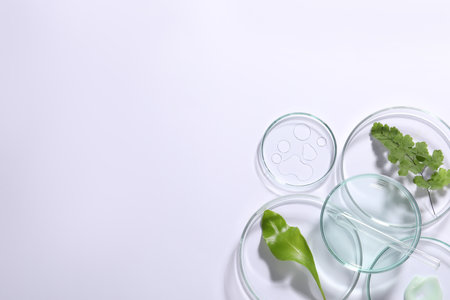 Organic cosmetic product, natural ingredients and laboratory glassware on white background, top view. Space for textの写真素材