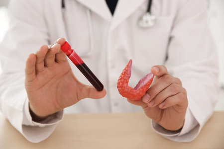 Doctor holding plastic model of thyroid and test tube with blood sample on wooden table, closeupの写真素材
