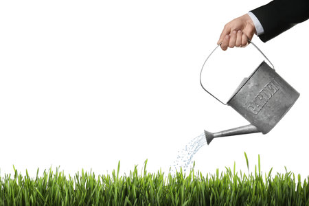 Man watering green grass against white background, closeupの写真素材