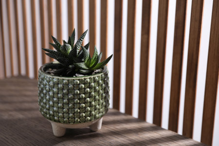 Beautiful houseplant in pot on wooden tableの写真素材