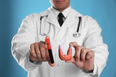 Doctor holding plastic model of thyroid and blood sample on light blue background, closeupの写真素材