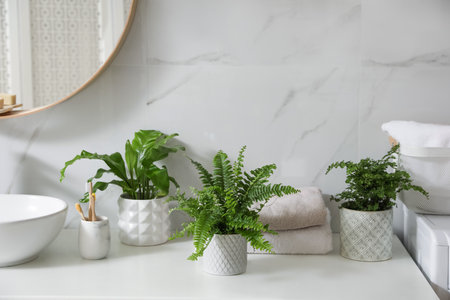 Beautiful green ferns, towels and toothbrushes on countertop in bathroomの写真素材