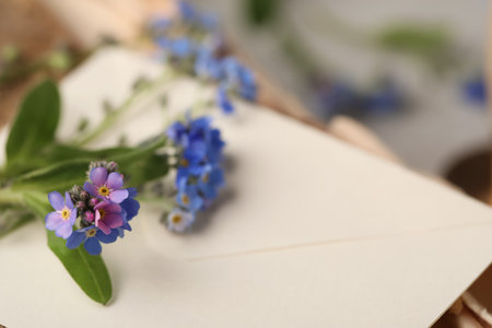 Beautiful Forget-me-not flowers on envelope, closeup. Space for textの写真素材