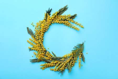 Beautiful floral composition with mimosa flowers on light blue background, flat lay. Space for textの写真素材