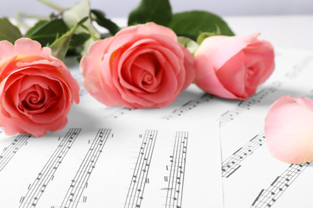 Beautiful roses on sheets with music notesの写真素材