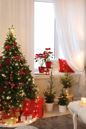 Living room with Christmas decorations. Festive interior designの写真素材