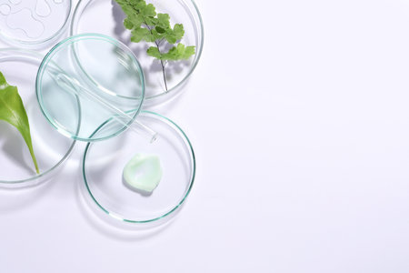 Organic cosmetic product, natural ingredients and laboratory glassware on white background, top view. Space for textの写真素材
