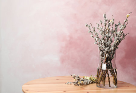 Beautiful pussy willow branches on wooden table against pink background, space for textの写真素材