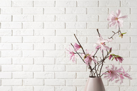 Magnolia tree branches with beautiful flowers in vase against white brick wall. Space for textの写真素材