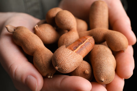 Woman holding fresh ripe tamarinds, closeup viewの写真素材