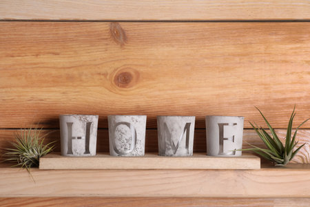Tillandsia plants and word Home made with candles on wooden shelf, space for text. house decorの写真素材