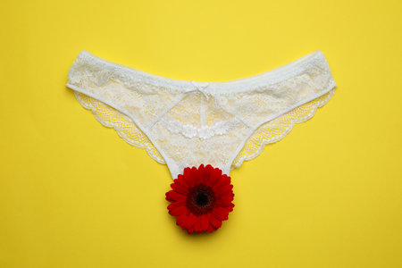 Woman's panties and red gerbera flower on yellow background, top viewの写真素材