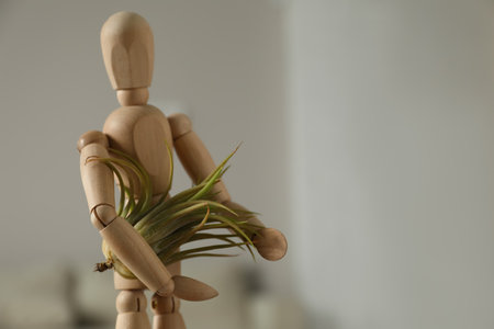 Wooden human figure with beautiful Tillandsia plant indoors, closeup and space for text. home decorの写真素材