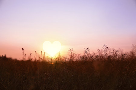 Picturesque view of field and beautiful sunsetの写真素材
