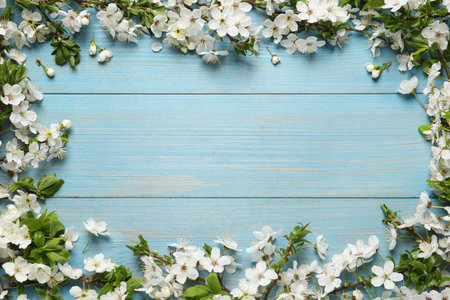 Frame of cherry tree branches with beautiful blossoms on light blue wooden table, flat lay. Space...