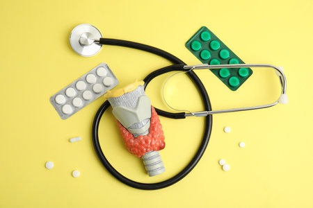 Plastic model of thyroid with tumor, pills and stethoscope on yellow background, flat layの写真素材