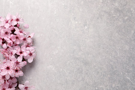 Sakura tree branch with beautiful pink blossoms on light stone table, flat lay. Space for textの写真素材