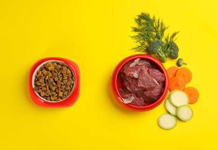 Pet food and natural ingredients on yellow background, flat layの写真素材