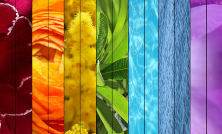 Collage with photos of beautiful flowers, green grass and waterの写真素材