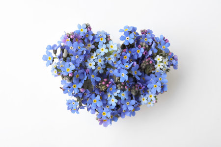Heart of beautiful blue forget-me-not flowers isolated on white, top viewの写真素材
