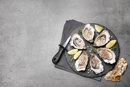 Delicious fresh oysters with lemon slices served on gray table, flat lay. Space for textの写真素材