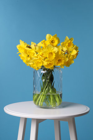 Beautiful daffodils in vase on white table against light blue backgroundの写真素材