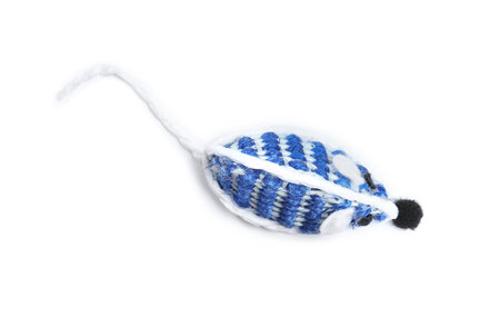 Modern toy for pet isolated on white, top viewの写真素材