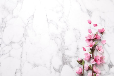 Beautiful sakura tree blossoms on white marble background, flat lay. Space for textの写真素材