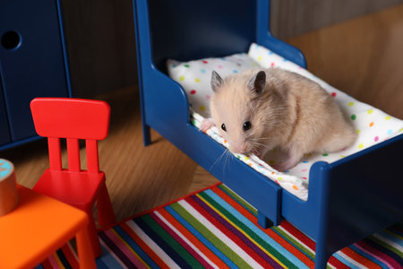 Adorable hamster in room with colorful toy furnitureの写真素材