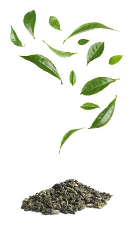 Dry and fresh tea leaves on white backgroundの写真素材