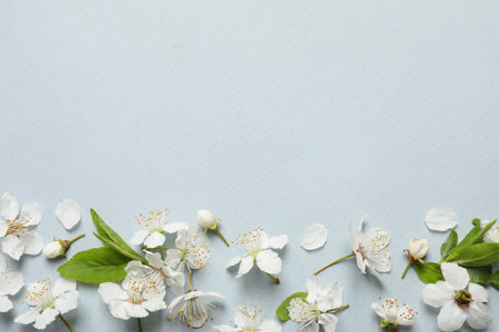 Spring tree blossoms as border on light background, flat lay. Space for text